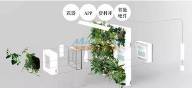 智能綠植墻代理專業(yè)提供 河南潤(rùn)庭裝飾工程