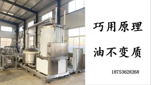 小魚小蝦真空油炸機自動脫油油炸機 現(xiàn)代化食品加工設(shè)備的革新應用
