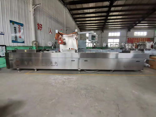 全自動真空包裝設(shè)備 現(xiàn)代包裝技術(shù)的革新與應用